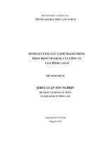 ĐÁNH GIÁ NĂNG LỰC CẠNH TRANH TRONG   HOẠT ĐỘNG TÍN DỤNG CỦA CÔNG TY   TÀI CHÍNH CAO SU 