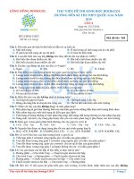 Thư viện đề thi 2019   lần 4 