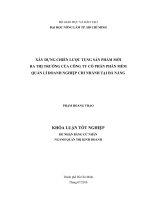   XÂY DỰNG CHIẾN LƯỢC TUNG SẢN PHẨM MỚI  RA THỊ TRƯỜNG CỦA CÔNG TY CỔ PHẦN PHẦN MỀM  QUẢN LÍ DOANH NGHIỆP CHI NHÁNH TẠI ĐÀ NẴNG   