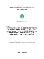 BƯỚC ĐẦU TÌM HIỂU TÌNH HÌNH SINH TRƯỞNG  CỦA RỪNG TRỒNG THÔNG 3 LÁ (Pinus kesiya  Royle ex Gordon) TUỔI 8 – 16 VÀ ĐỀ XUẤT MỘT SỐ  GIẢI PHÁP TRONG QUẢN LÝ BẢO VỆ RỪNG TẠI   LÂM TRƯỜNG BẢO LÂM –LÂM ĐỒNG 