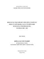   KHẢO SÁT SỰ THAY ĐỔI MỨC SỐNG DÂN CƯ DƯỚI TÁC  ĐỘNG CỦA ĐÔ THỊ HÓA TẠI XÃ TÂN ĐÔNG HIỆP   HUYỆN DĨ AN TỈNH BÌNH DƯƠNG  GIAI ĐOẠN 2005  2010   