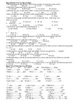 de cuong on thi giua ki 2 lop 5