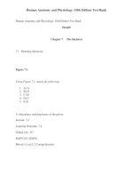 Link download test bank for human anatomy and physiology 10th edition by marieb hoehn 