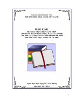BÁO CÁO KẾT QUẢ THỰC HIỆN SÁNG KIẾN ỨNG DỤNG PHẦN MỀM EXCEL VÀO VIỆC ĐÁNH GIÁ, XẾP LOẠI HỌC SINH THEO THÔNG TƯ 22 Ở TRƯỜNG TIỂU HỌC A ĐÀO HỮU CẢNH