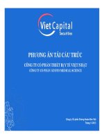 PHƯƠNG ÁN TÁI CẤU TRÚC CÔNG TY CỔ PHẦN THIẾT BỊ Y TẾ VIỆT NHẬT CÔNG TY C CÔNG TY CỔ PHẦN KYOTO MEDICAL SCIENCE