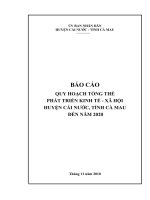 BÁO CÁO QUY HOẠCH TỔNG THỂ PHÁT TRIỂN KINH TẾ - XÃ HỘI HUYỆN CÁI NƯỚC, TỈNH CÀ MAU ĐẾN NĂM 2020