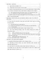 Báo cáo tiểu luận Quản lý chất lượng: Phân tích những sai lầm về chiến lược của Mai Linh