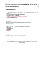 Test bank for sociology a brief introduction 11th edition by schaefe 