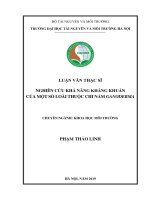 Nghiên cứu khả năng kháng khuẩn của một số loài thuộc chi nấm ganoderma 