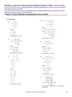 Introductory algebra for college students 6th edition by blitzer solution manual 