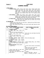 GIÁO ÁN  ÔN TẬP CÁC MÔN CẤP TIỂU HỌC 14.DOC