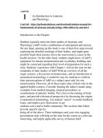 Solution manual for fundamentals of anatomy and physiology 10th edition by martini 1 