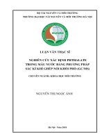 Nghiên cứu xác định phthalate trong mẫu nước bằng phương pháp sắc kí khí ghép nối khối phổ (GC MS) 