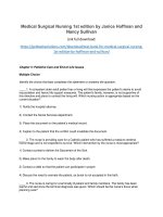 Test bank for medical surgical nursing 1st edition by hoffman and sullivan 