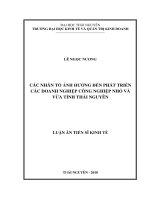 CÁC NHÂN TỐ ẢNH HƢỞNG ĐẾN PHÁT TRIỂN CÁC DOANH NGHIỆP CÔNG NGHIỆP NHỎ VÀ VỪA TỈNH THÁI NGUYÊN
