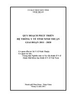 QUY HOẠCH PHÁT TRIỂN HỆ THỐNG Y TẾ TỈNH NINH THUẬN GIAI ĐOẠN 2011 - 2020