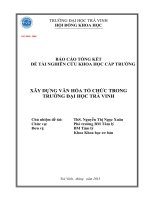 ĐỀ TÀI NGHIÊN CỨU KHOA HỌC CẤP TRƯỜNG XÂY DỰNG VĂN HÓA TỔ CHỨC TRONG TRƯỜNG ĐẠI HỌC TRÀ VINH