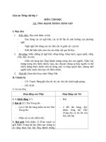 Giáo án Tiếng Việt 2 tuần 20 bài: Tập đọc  Ông Mạnh Thắng Thần Gió