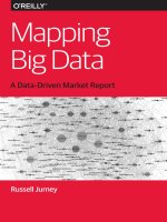 mapping big data 