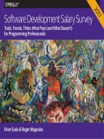 2017 software development salary survey report 