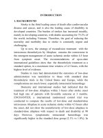 Kết quả điều trị nhồi máu não trong giai đoạn từ 3 đến 4,5 giờ bằng thuốc tiêu huyết khối alteplase liều thấp tt tiếng anh 