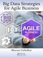 Big data strategies for agile business 