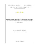 Nghiên cứu tổng hợp và khảo sát khả năng diệt khuẩn của oligome trên cơ sở guanidin trong xử lý nước nhiễm khuẩn