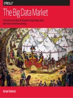 the big data market 