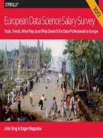 2017 european data science salary survey 