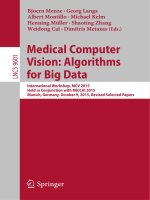 Medical computer vision   algorithms for big data 
