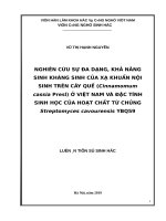 Nghiên cứu sự đa dạng, khả năng sinh kháng sinh của xạ khuẩn nội sinh trên cây quế (cinnamomum cassia presl) ở việt nam và đặc tính sinh học của hoạt chất từ chủng streptomyces cavourensis YBQ59