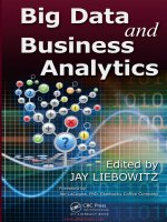 Big data and business analytics 