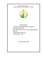 Những vẫn đề cơ bản về lịch sử nghệ thuật quân sự Việt Nam