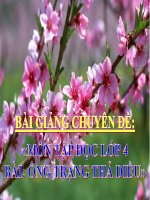 BÀI GIẢNG CHUYÊN ĐỀ: «MÔN TẬP ĐỌC LỚP 4 BÀI: ÔNG TRẠNG THẢ DIỀU»