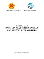 HƯỚNG DẪN ĐÁNH GIÁ PHÁT TRIỂN NĂNG LỰC CÁC TRƯỜNG SƯ PHẠM (TEIDI)