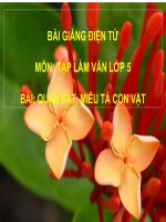 BÀI GIẢNG ĐIỆN TỬ MÔN: TẬP LÀM VĂN LỚP 5 BÀI: QUAN SÁT, MIÊU TẢ CON VẬT