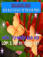 : “BÀI GIẢNG MẪU MÔN TỰ NHIÊN XÃ HỘI LỚP 3 Bài 49 ĐỘNG VẬT»