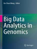 Big data analytics in genomics 