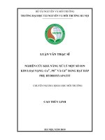 Nghiên cứu khả năng xử lý một số ion kim loại nặng Cu2, Pb2 và Cd2 bằng hạt hấp phụ hydroxyapatit (Luận văn thạc sĩ)
