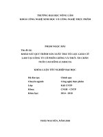 Khảo sát quy trình sản xuất trà túi lọc giảo cổ lam tại công ty cổ phần giống và thức ăn chăn nuôi cao bằng cabaco 