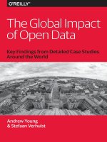 The global impact of open data 