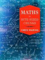 Maths in bite sized chunks 