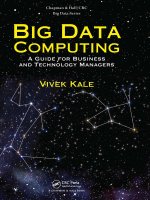 Big data computing business technology 4245 