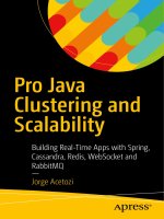 Pro java clustering and scalability  building real time apps with spring, cassandra, redis, websocket and RabbitMQ 