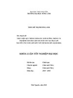 Thực hiện quy trình chăm sóc nuôi dưỡng, phòng và trị bệnh cho đàn lợn nái nuôi con tại trại lợn nguyễn văn tuấn liên kết với tập đoàn đức hạnh BMG 