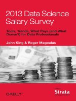 Data science salary survey stratasurvey 