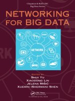 Networking for big data chapman 