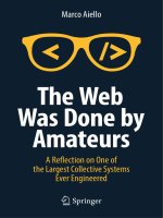The web was done by amateurs  a reflection on one of the largest collective systems ever engineered 