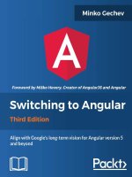Switching to angular  align with googles long term vision for angular version 5 and beyond 3rd edition 
