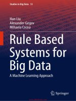Liu h , gegov a , cocea m    rule based systems for big data  a machine learning approach (studies in big data (book 13))   2015 